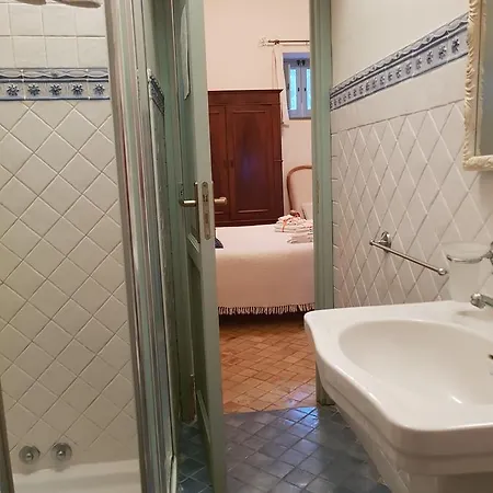 Il Delfino
