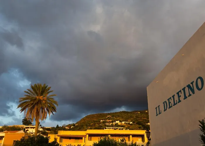 Il Delfino